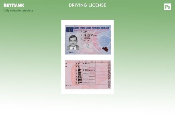 Модерен стил белгиска возачка дозвола присутен шаблон